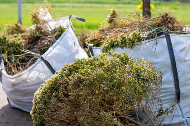 Yard Cleanup Services in Fairland, OK